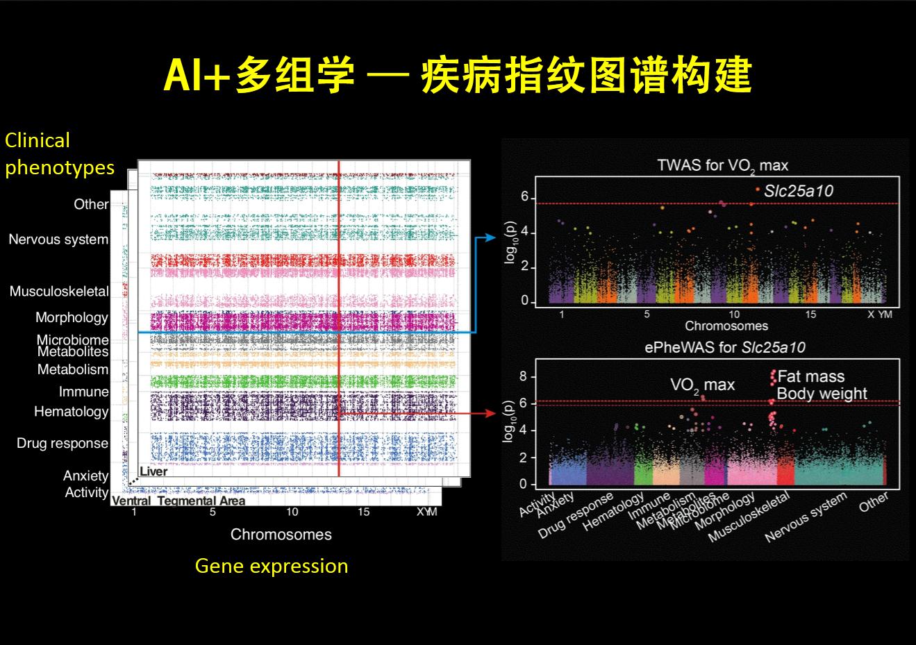 基于人工智能的医学大数据解析及个性化医疗诊断