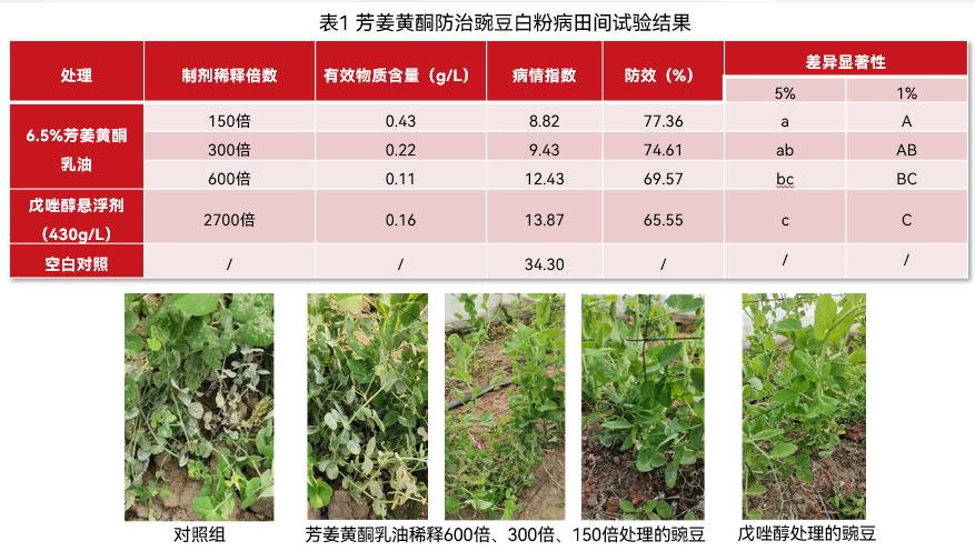 一种绿色环保植物源农药新药芳姜黄酮